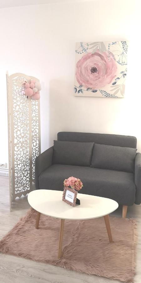 Diamond Apartment Targu Mures Exterior foto